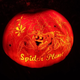 Illustration for article titled Night of A 1000 Jack o Lanterns